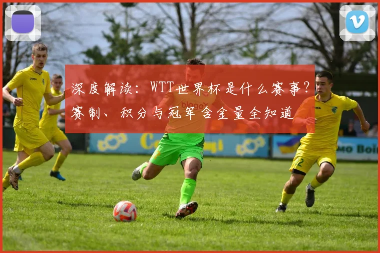 深度解读：WTT世界杯是什么赛事？赛制、积分与冠军含金量全知道