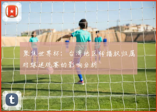 聚焦世界杯：台湾地区转播权归属对球迷观赛的影响分析