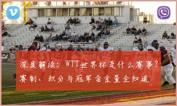 深度解读：WTT世界杯是什么赛事？赛制、积分与冠军含金量全知道