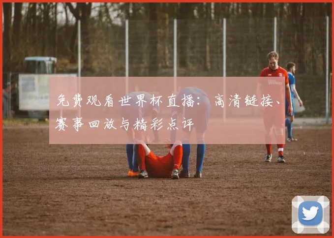 免费观看世界杯直播：高清链接、赛事回放与精彩点评