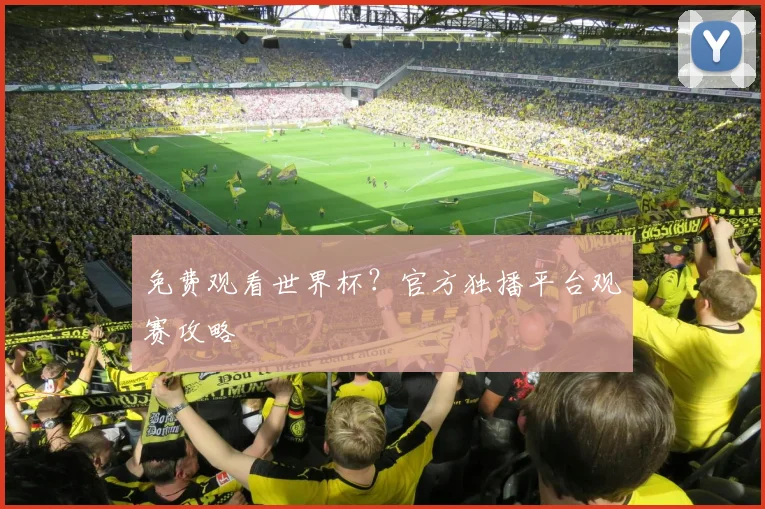 免费观看世界杯？官方独播平台观赛攻略