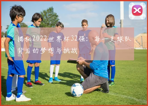 揭秘2022世界杯32强:每一支球队背后的梦想与挑战