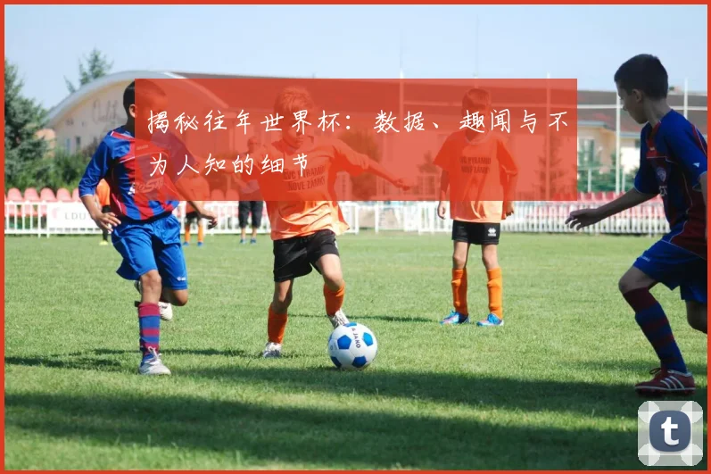 揭秘往年世界杯：数据、趣闻与不为人知的细节