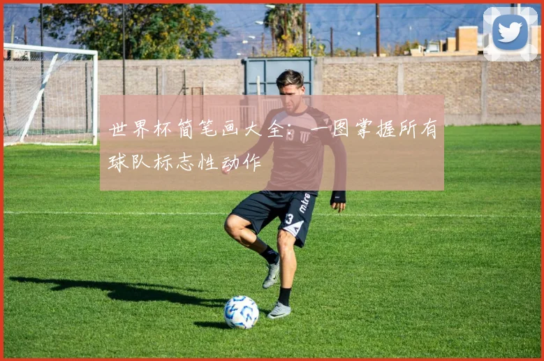 世界杯简笔画大全：一图掌握所有球队标志性动作