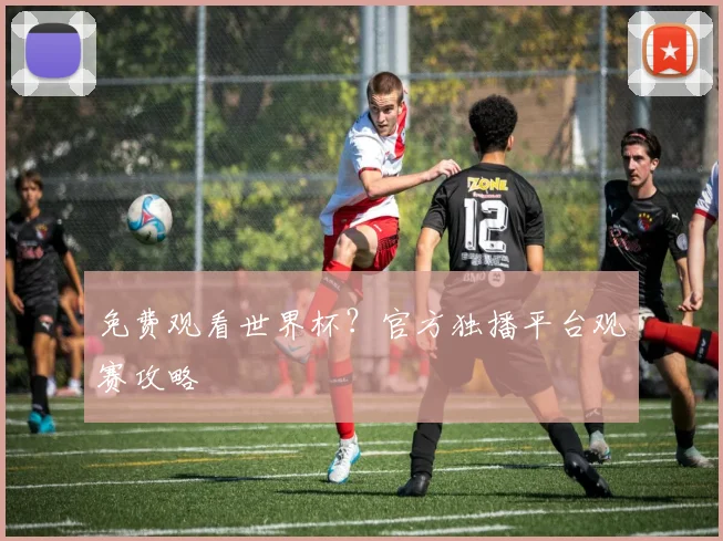 免费观看世界杯？官方独播平台观赛攻略
